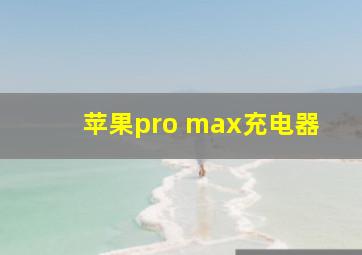 苹果pro max充电器